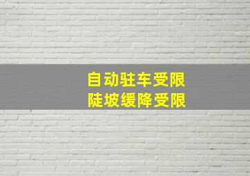 自动驻车受限 陡坡缓降受限